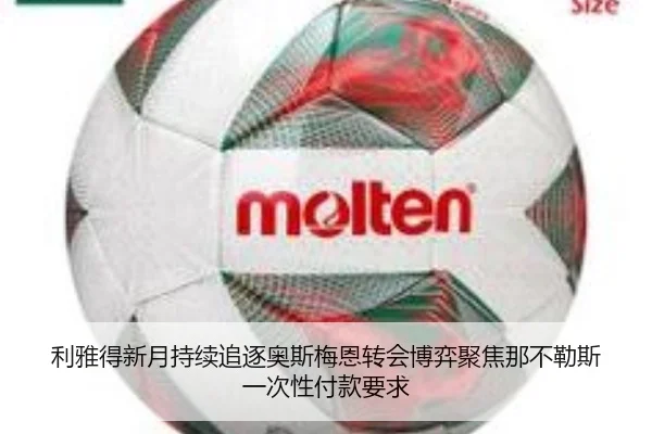 利雅得新月持续追逐奥斯梅恩转会博弈聚焦那不勒斯一次性付款要求 | kaiyun